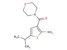 5-isopropyl-3-(morpholin-4-ylcarbonyl)thiophen-2-amine 5-isopropyl-3-(morpholin-4-ylcarbonyl)thiophen-2-amine