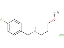 N-(4-fluorobenzyl)-3-methoxy-1-propanamine hydrochloride N-(4-fluorobenzyl)-3-methoxy-1-propanamine hydrochloride
