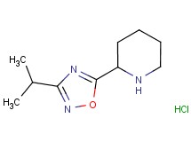 2-(3-isopropyl-1,2,4-oxadiazol-5-yl)piperidine hydrochloride 2-(3-isopropyl-1,2,4-oxadiazol-5-yl)piperidine hydrochloride
