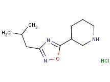 3-(3-isobutyl-1,2,4-oxadiazol-5-yl)piperidine hydrochloride 3-(3-isobutyl-1,2,4-oxadiazol-5-yl)piperidine hydrochloride