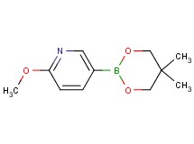 5-(5,5-dimethyl-1,3,2-dioxaborinan-2-yl)-2-methoxypyridine 5-(5,5-dimethyl-1,3,2-dioxaborinan-2-yl)-2-methoxypyridine