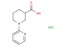 1-pyridin-2-ylpiperidine-3-carboxylic acid hydrochloride 1-pyridin-2-ylpiperidine-3-carboxylic acid hydrochloride