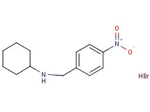 N-(4-nitrobenzyl)cyclohexanamine hydrobromide N-(4-nitrobenzyl)cyclohexanamine hydrobromide