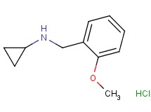 N-(2-methoxybenzyl)cyclopropanamine hydrochloride N-(2-methoxybenzyl)cyclopropanamine hydrochloride