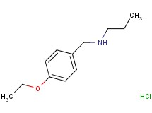 N-(4-ethoxybenzyl)-1-propanamine hydrochloride N-(4-ethoxybenzyl)-1-propanamine hydrochloride