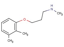 3-(2,3-dimethylphenoxy)-N-methyl-1-propanamine 3-(2,3-dimethylphenoxy)-N-methyl-1-propanamine
