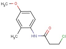 3-chloro-N-(4-methoxy-2-methylphenyl)propanamide 3-chloro-N-(4-methoxy-2-methylphenyl)propanamide