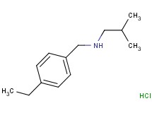 N-(4-ethylbenzyl)-2-methyl-1-propanamine hydrochloride N-(4-ethylbenzyl)-2-methyl-1-propanamine hydrochloride