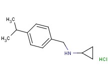 N-(4-isopropylbenzyl)cyclopropanamine hydrochloride N-(4-isopropylbenzyl)cyclopropanamine hydrochloride