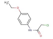 2-chloro-N-(4-ethoxyphenyl)acetamide