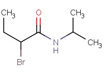 2-bromo-N-isopropylbutanamide