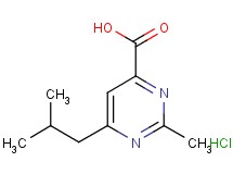 6-isobutyl-2-methyl-4-pyrimidinecarboxylic acid hydrochloride