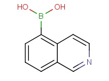 isoquinolin-5-ylboronic acid