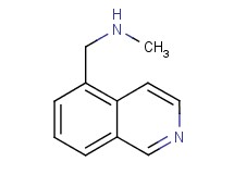 (isoquinolin-5-ylmethyl)methylamine