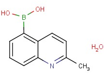 (2-methylquinolin-5-yl)boronic acid hydrate