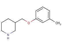 3-[(3-methylphenoxy)methyl]piperidine