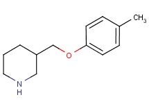 3-[(4-methylphenoxy)methyl]piperidine