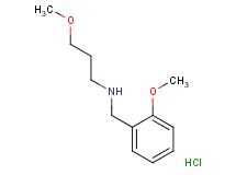 (2-methoxybenzyl)(3-methoxypropyl)amine hydrochloride (2-methoxybenzyl)(3-methoxypropyl)amine hydrochloride