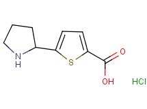5-(2-pyrrolidinyl)-2-thiophenecarboxylic acid hydrochloride
