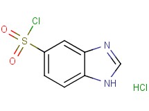 1H-benzimidazole-5-sulfonyl chloride hydrochloride
