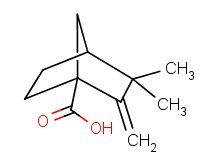 3,3-dimethyl-2-methylenebicyclo[2.2.1]heptane-1-carboxylic acid