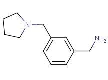 1-[3-(pyrrolidin-1-ylmethyl)phenyl]methanamine