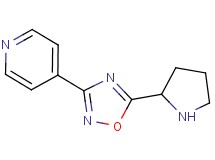 4-(5-pyrrolidin-2-yl-1,2,4-oxadiazol-3-yl)pyridine