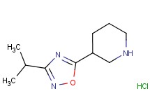 3-(3-isopropyl-1,2,4-oxadiazol-5-yl)piperidine hydrochloride
