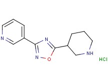 3-[5-(3-piperidinyl)-1,2,4-oxadiazol-3-yl]pyridine hydrochloride
