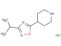 4-(3-isopropyl-1,2,4-oxadiazol-5-yl)piperidine hydrochloride