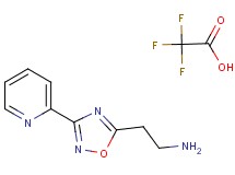 {2-[3-(2-pyridinyl)-1,2,4-oxadiazol-5-yl]ethyl}amine trifluoroacetate