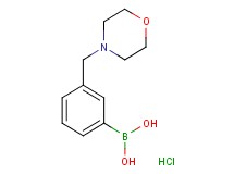 [3-(4-morpholinylmethyl)phenyl]boronic acid hydrochloride