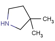 3,3-dimethylpyrrolidine