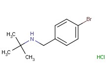 N-(4-bromobenzyl)-2-methyl-2-propanamine hydrochloride