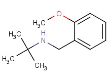 N-(2-methoxybenzyl)-2-methylpropan-2-amine