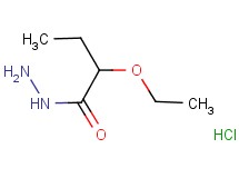 2-ethoxybutanohydrazide hydrochloride