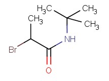 2-bromo-N-(tert-butyl)propanamide