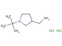 [(1-tert-butyl-3-pyrrolidinyl)methyl]amine dihydrochloride