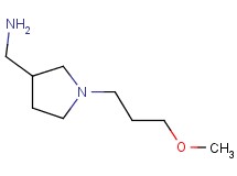 1-[1-(3-methoxypropyl)pyrrolidin-3-yl]methanamine