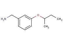 (3-sec-butoxybenzyl)amine