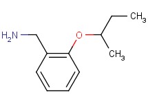 (2-sec-butoxybenzyl)amine
