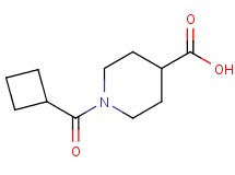 1-(cyclobutylcarbonyl)-4-piperidinecarboxylic acid