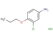 (3-chloro-4-propoxyphenyl)amine hydrochloride (3-chloro-4-propoxyphenyl)amine hydrochloride