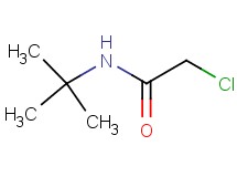 N-(tert-butyl)-2-chloroacetamide