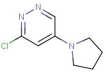 3-chloro-5-(1-pyrrolidinyl)pyridazine