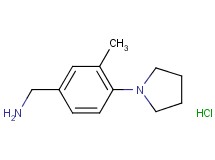 [3-methyl-4-(1-pyrrolidinyl)benzyl]amine hydrochloride