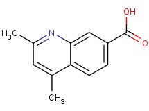 2,4-dimethyl-7-quinolinecarboxylic acid