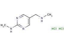 N-methyl-5-[(methylamino)methyl]-2-pyrimidinamine dihydrochloride