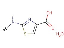 2-(methylamino)-1,3-thiazole-4-carboxylic acid hydrate