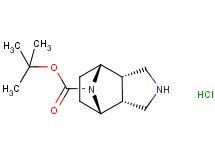 tert-butyl rel-(1R,2S,6R,7S)-4,10-diazatricyclo[5.2.1.0~2,6~]decane-10-carboxylate hydrochloride